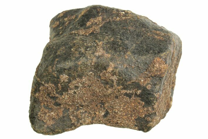 Chondrite Meteorite ( g) - Western Sahara Desert #296257